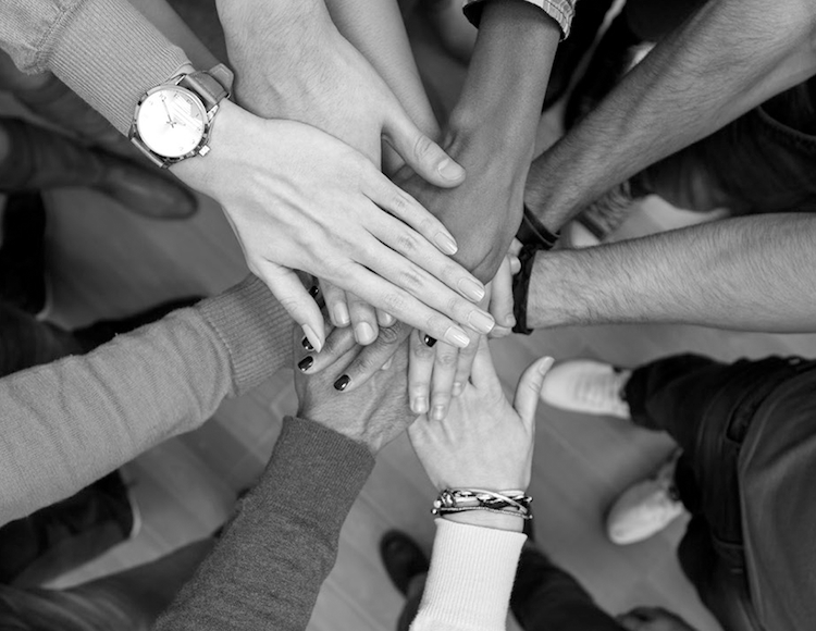 diversity hands-bw